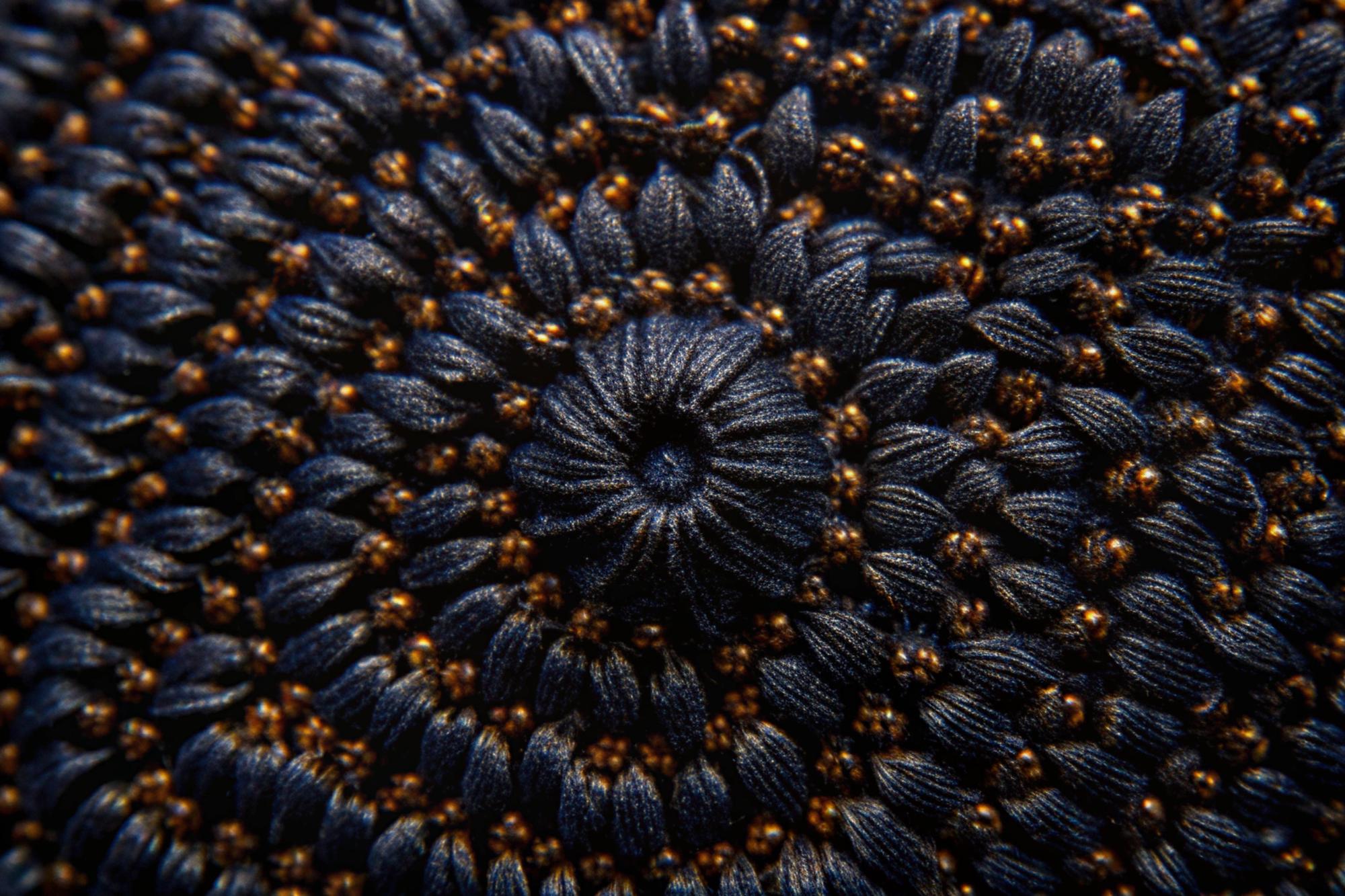close-up of modern embroidered motif on dark fabric